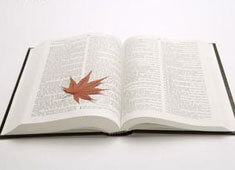 巴黎圣日耳曼斩获胜利，内马尔表现抢眼